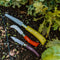 Gardener Premium 3PC Set