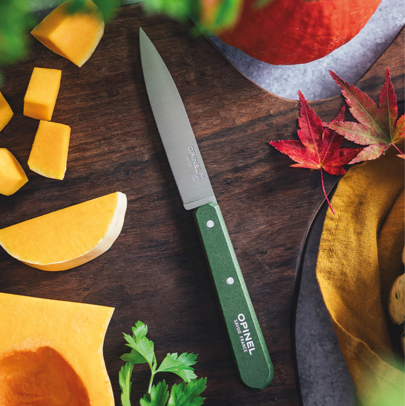 Paring Knives N°112 Paysage - Set of 4