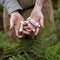 N°08 Limited Edition Escapade - Bivouac / Elevation