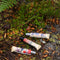 N°08 Limited Edition Escapade - Bivouac / Elevation
