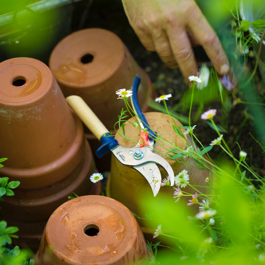 to gardening tools...