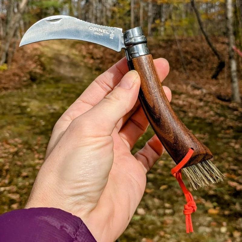 No. 8 Mushroom Knife Black Walnut + Wooden Gift Box