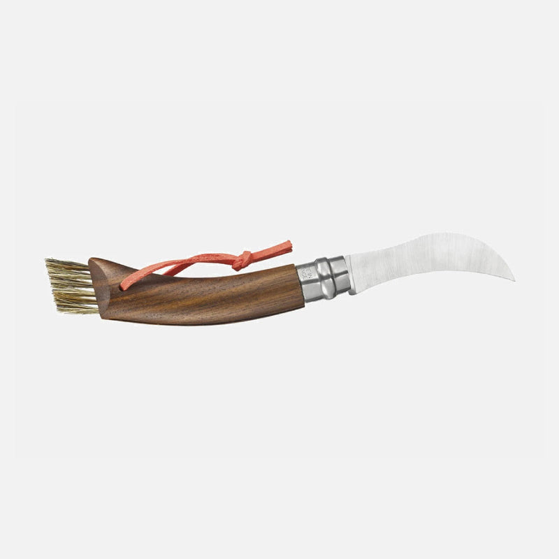 No. 8 Mushroom Knife Black Walnut + Wooden Gift Box