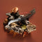 No. 8 Mushroom Knife Black Walnut + Wooden Gift Box