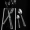 Perpétue Flatware Collection 16PC Set