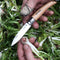 N°08 Folding Gardening Knife