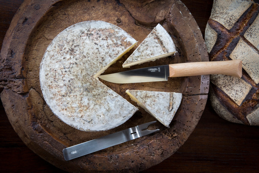 Cheese Knife and Fork 2PC Set