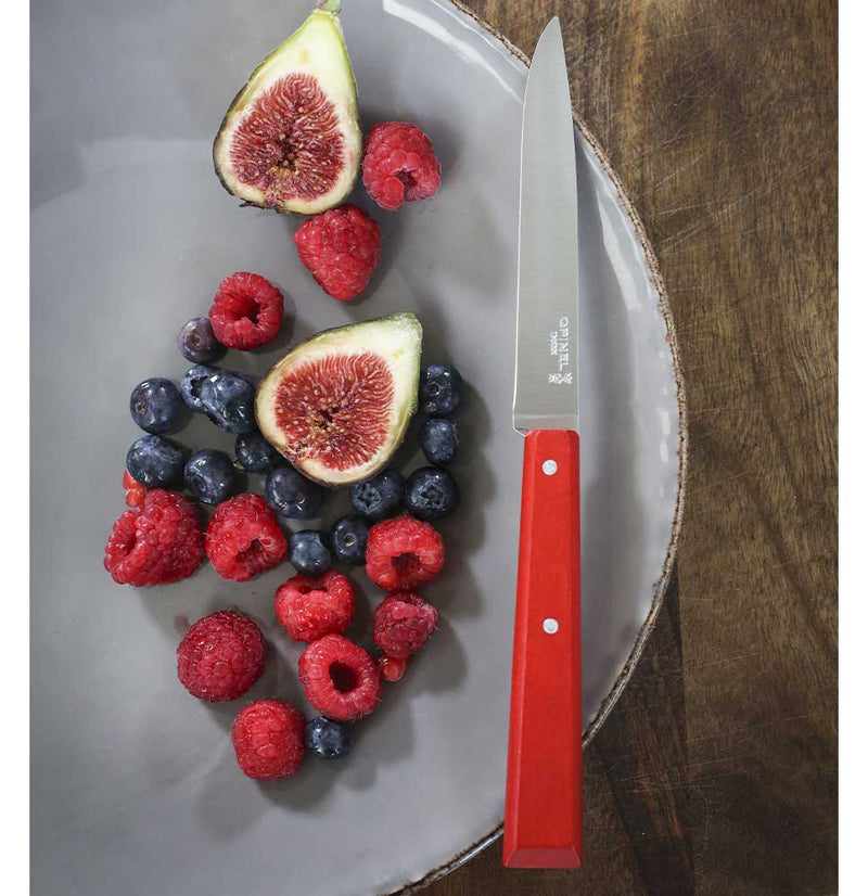 Bon Appetit Table Knife N°125 - Pack of 12